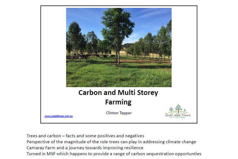 Carbon and Multi Storey Farming